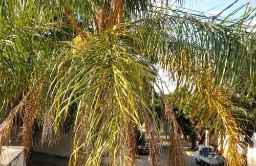 Cordoba House | Hostel Alto Alberdi