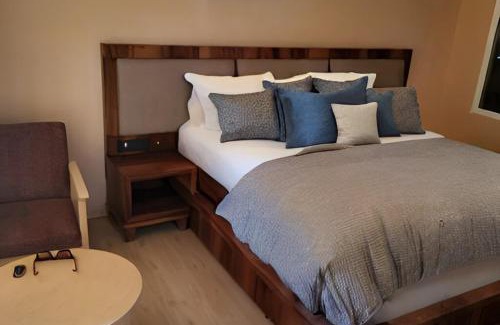 Leh Hotel | Hotel Dekiling, Leh