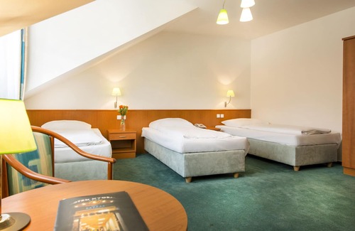 Ceske Budejovice Hotel | Hotel Dvořák
