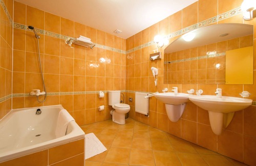 Ceske Budejovice Hotel | Hotel Dvořák