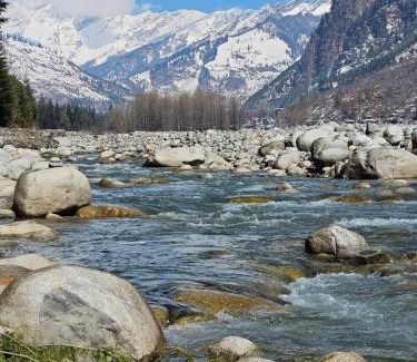 Manali Hotel | Hotel Old Manali-Mountain View, Balcony, Garden, Pet Friendly, Parking