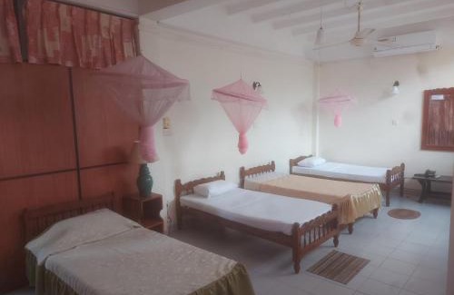 New Town House | Hotel Shalini