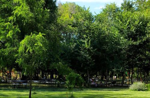 Lezhe Hotel | Hoteli Gjuetise