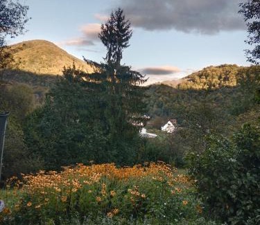 Nyzhnje Selyshche Apartment | House Menchul