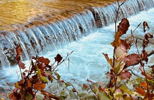 Ig Apartment | Iška hiška