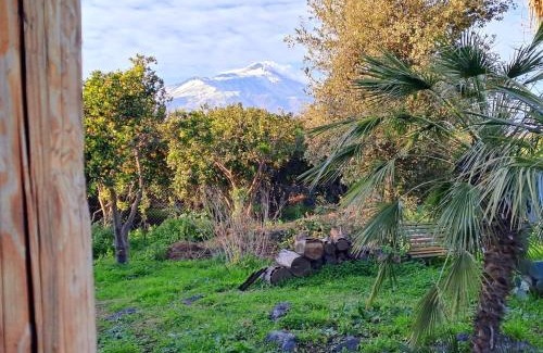 Aci San Filippo Apartment | Ilice tiny house