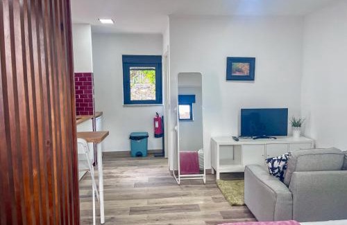 Peso da Regua Apartment | Imperial Douro Apartamento 7