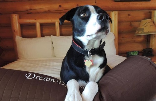 Moran Apartment | Invigorating Retreat! 3 Conveniently Located Cottages!