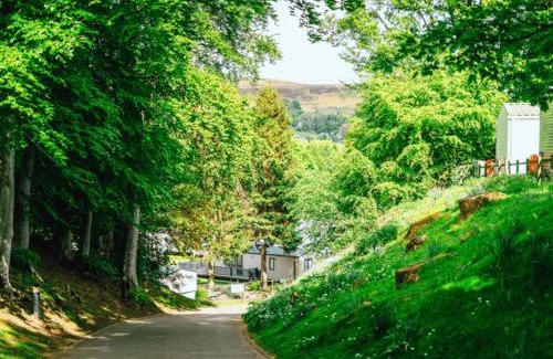 Bishop Auckland House | Ivy Caravan 2 at Heather View Leisure Park