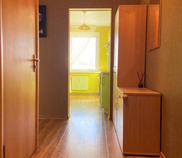 Plunge Apartment | JM Apartment