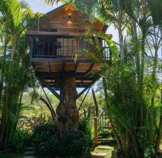 Bao Loc House | Khu Nghỉ Dưỡng Ngôi Làng Trong Tranh, Bảo Lộc