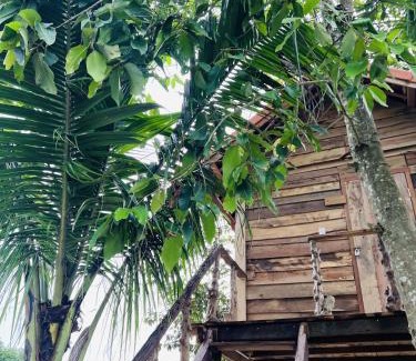 Chau Duc Cabin | Khu Nghỉ dưỡng Sinh thái Nhà Lụa Retreat