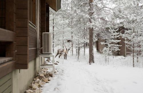 Pyhatunturi Apartment | Koto Chalet Hosted by Hygge Host