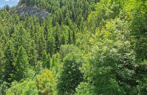 Pra Loup Apartment | L' ARRIBAU Studio Pra loup 1600 en résidence privée