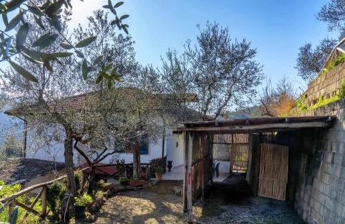 Schiazzano House | La casetta di Rosetta, breathtaking Li Galli sea view