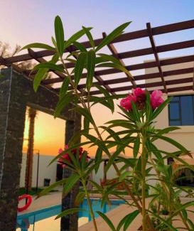 Barka Ski Chalet | Lammah chalet