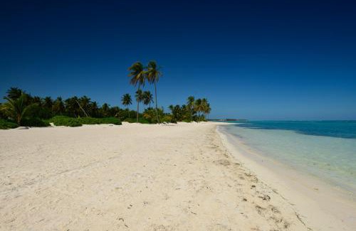 Punta Cana Apartment | Large fully-equiped golf-front apartment with jacuzzi in luxury beach resort