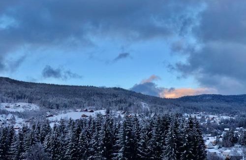 Xonrupt-Longemer Ski Chalet | Le Bois des Neiges Charmant chalet authentique à 5 mn de Gérardmer