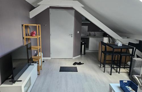 Haucourt-Moulaine Apartment | Le Manoir Enchanté