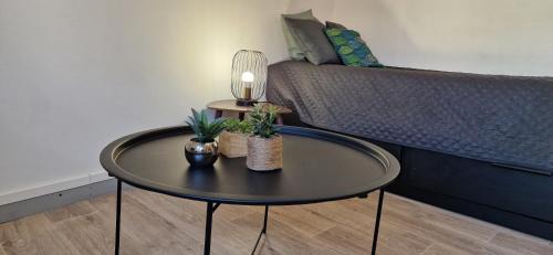 Mont-de-Marsan Apartment | Le petit Jungle - hyper centre - wifi