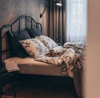Panevezys Apartment | Lindens apartments with AC and view to central square