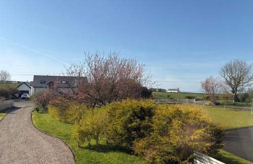 Coleraine House | Lougestown House