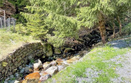 Lautenthal House | Lovely Home In Lautenthal With Wifi