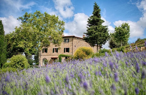 Panzano in Chianti Apartment | Luxury Chianti in Olive in Panzano Chianti