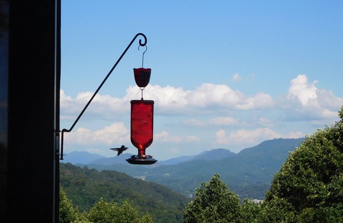 Waynesville House | Luxury home no damage by storm,relaxing mountain vista with entire town open