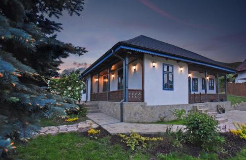 Tirgu Ocna Cabin | MAGNETIC HOUSE