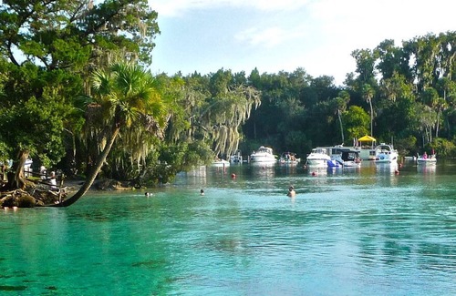 Seville House | Make Your Trip One to Remember! Close To Lake George Conservation!