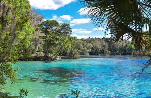 Seville House | Make Your Trip One to Remember! Close To Lake George Conservation!