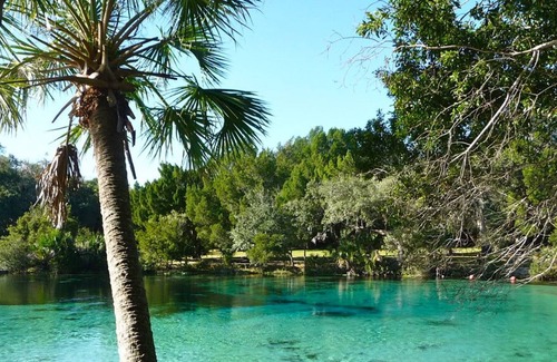 Seville House | Make Your Trip One to Remember! Close To Lake George Conservation!