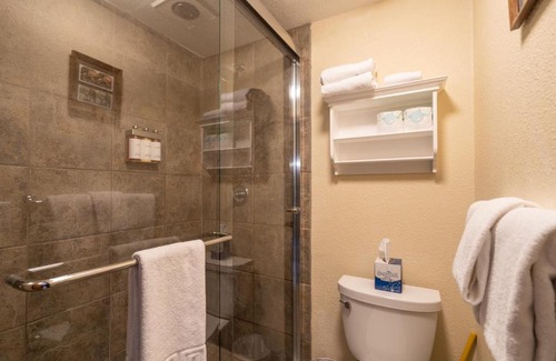 Telluride Hotel | Manitou Lodge 8 by Alpine Lodging Telluride