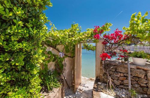 Polignano a Mare House | Mareo Apartment by BarbarHouse