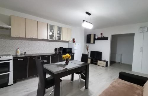 Resita Apartment | Mario Apartament regim hotelier