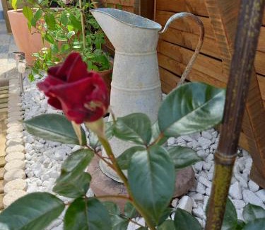 Jonzac Apartment | Mirabelle