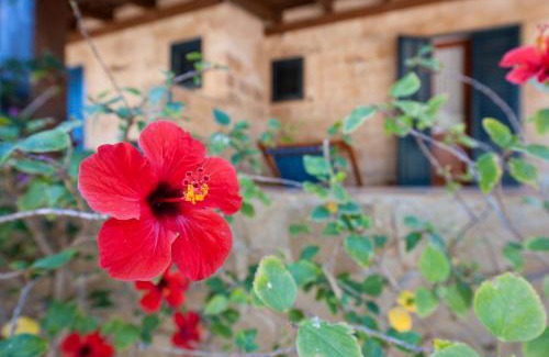 Favignana Apartment | Miramare Residence