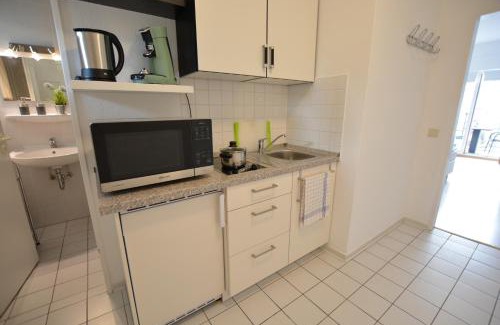 Bad Kreuznach Apartment | Modernes Appartement im Kurgebiet