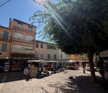 Sainte-Maxime City Centre Apartment | Montée de lépagneul