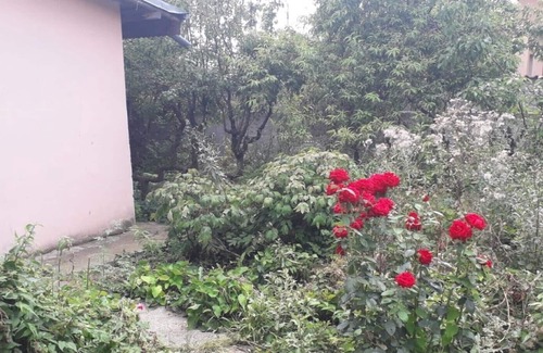 Domnesti House | My Beautiful area from Ilfov near Bucharest is interesting place for to enjoy we