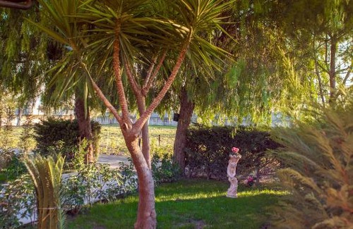 Marigliano Hotel | My Svago