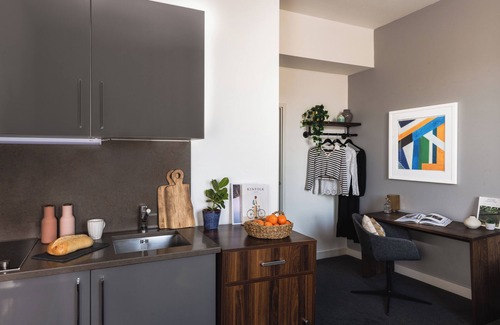 Paddington Apartment | Native Hyde Park