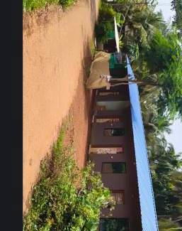 Gokarna Cabin | Nature Nest
