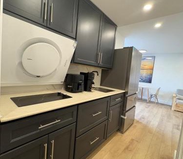 Cote-Des-Neiges—Notre-Dame-De-Grace Apartment | New Renovated Studio Queen Bed Sofa Bed
