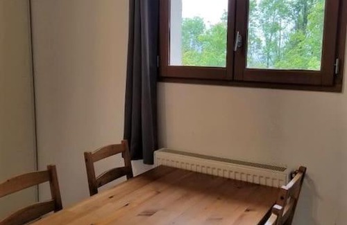 Chatillon-sur-Cluses Apartment | New studio ground floor in the heart of nature
