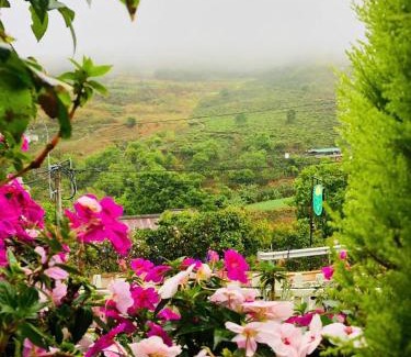 Da Lat House | Nhà Hoa Nắng Homestay Cầu Đất Đà Lạt