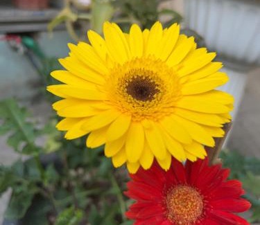 Bac Kan Hotel | Nhà nghỉ Phúc Anh - Bắc Kạn