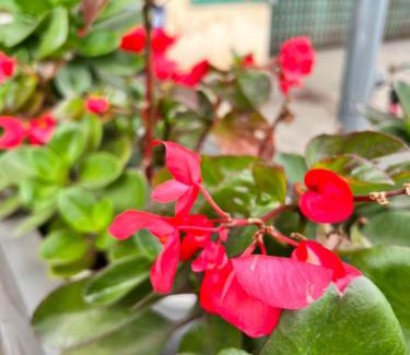 Bac Kan Hotel | Nhà nghỉ Phúc Anh - Bắc Kạn