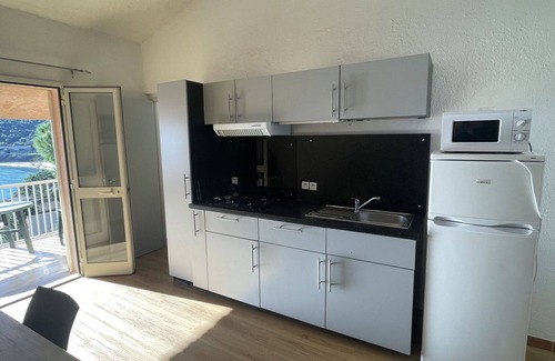 Tarcu Apartment | Nice apartment for 4 people with pool, A/C, WIFI, terrace and pets allowed